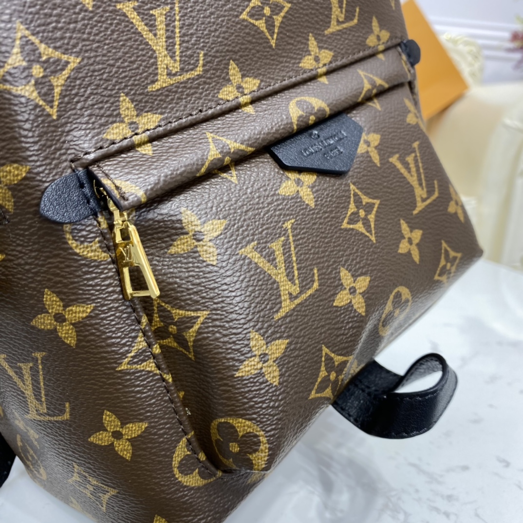 Louis Vuitton PALM SPRINGS MINI Backpack Monogram M44873